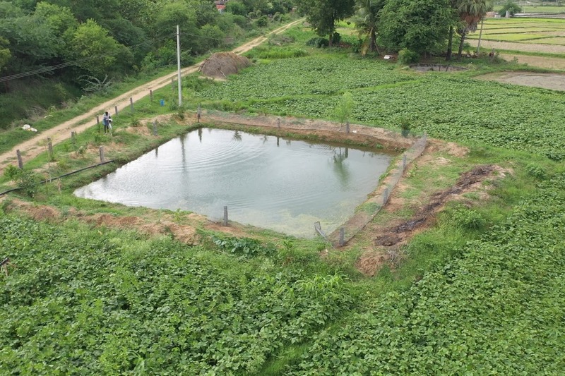 Farm Pond Development