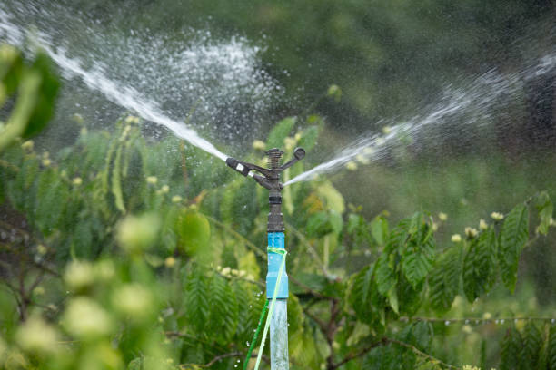 Water-Efficient Irrigation Training