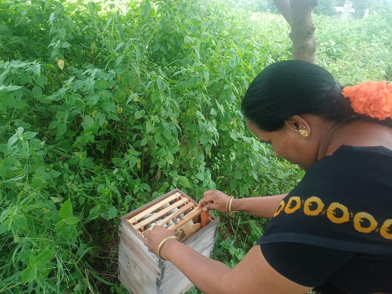 Women's Skill Training